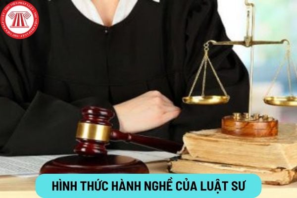 Hình thức hành nghề của luật sư