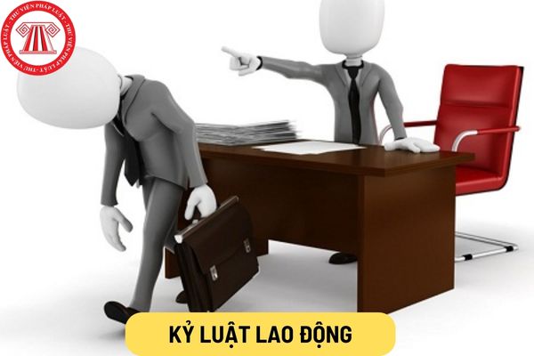 Kỷ luật lao động