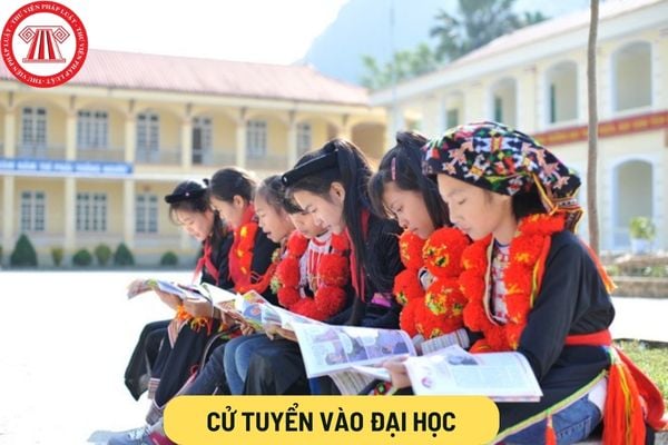 Cử tuyển vào đại học