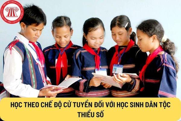 Học theo chế độ cử tuyển đối với học sinh dân tộc thiểu số