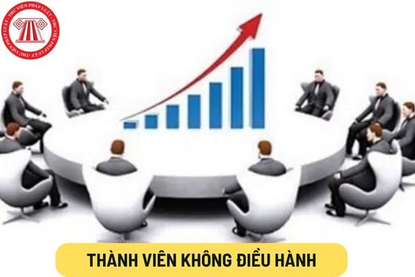 Thành viên không điều hành