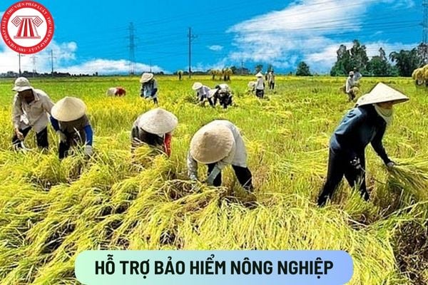 Hỗ trợ bảo hiểm nông nghiệp