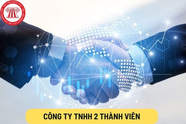 Công ty TNHH 2 thành viên