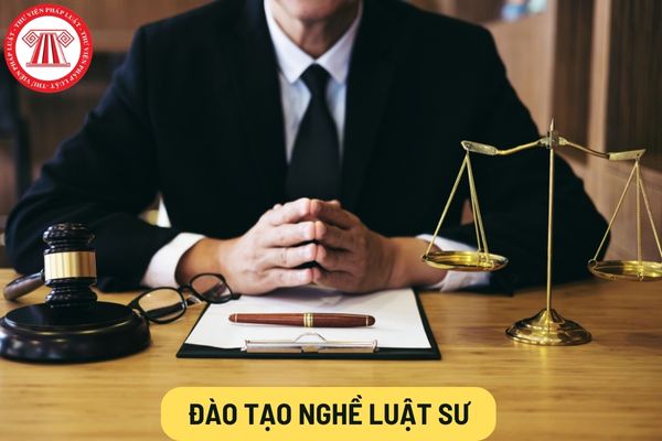 Đào tạo nghề luật sư