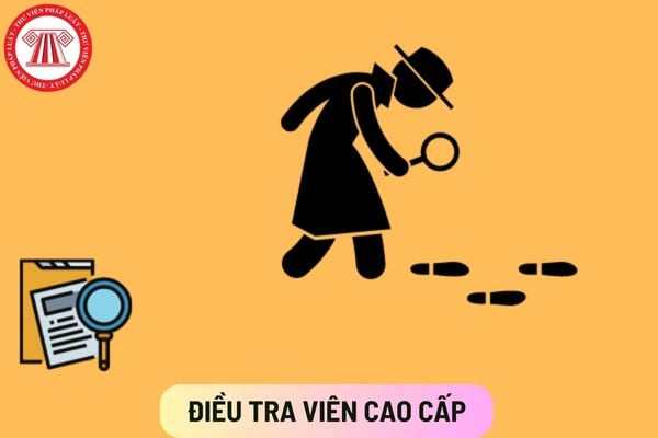 Điều tra viên cao cấp