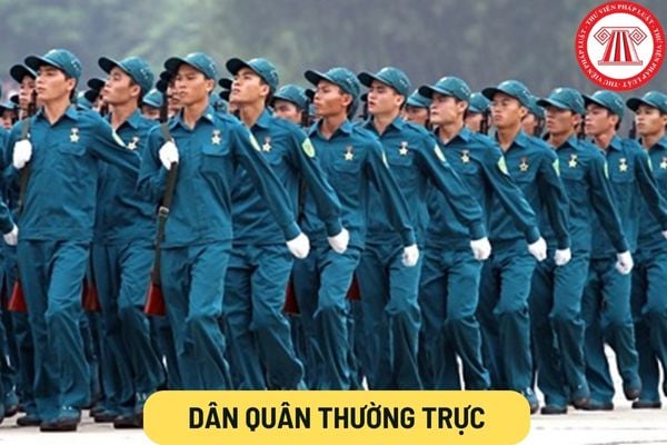 Dân quân thường trực