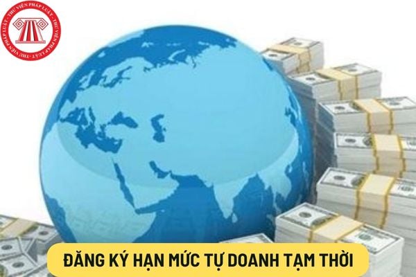 Đăng ký hạn mức tự doanh tạm thời