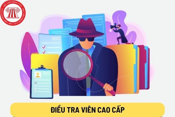 Điều tra viên cao cấp