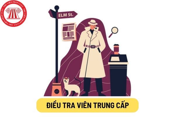 Điều tra viên trung cấp