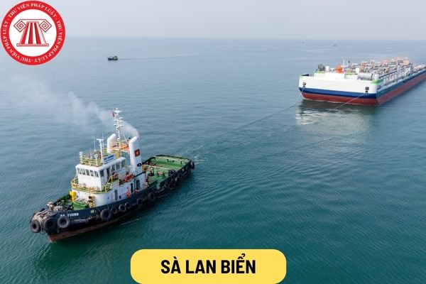 Sà lan biển