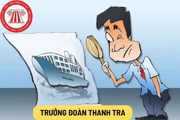 Trưởng đoàn thanh tra