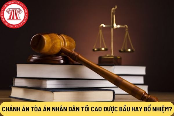 Chánh án Tòa án nhân dân tối cao được bầu hay bổ nhiệm?