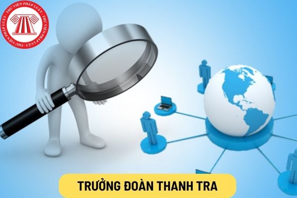 Trưởng đoàn thanh tra