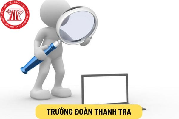 Trưởng đoàn thanh tra