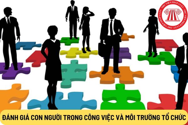 Đánh giá con người trong công việc và môi trường tổ chức