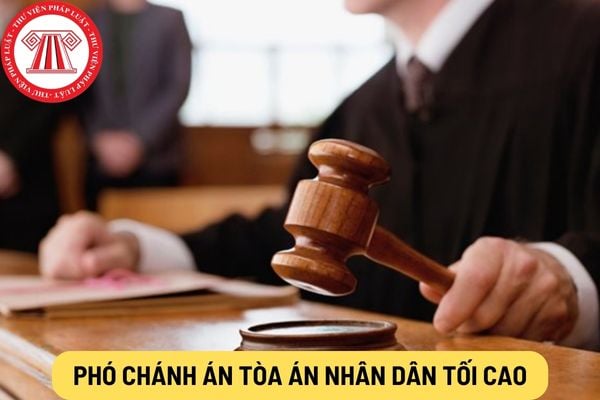 Phó Chánh án Tòa án nhân dân tối cao