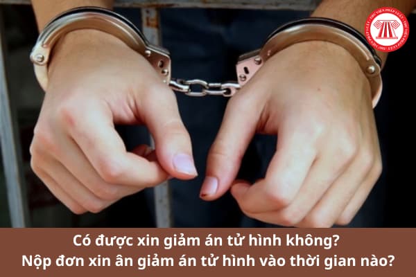 Có được xin giảm án tử hình không? Nộp đơn xin ân giảm án tử hình khi nào?