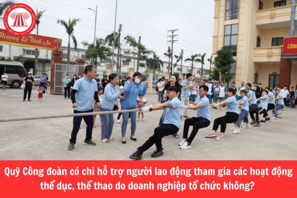 Quỹ Công đoàn có chi hỗ trợ người lao động tham gia các hoạt động thể dục, thể thao do doanh nghiệp tổ chức không? 