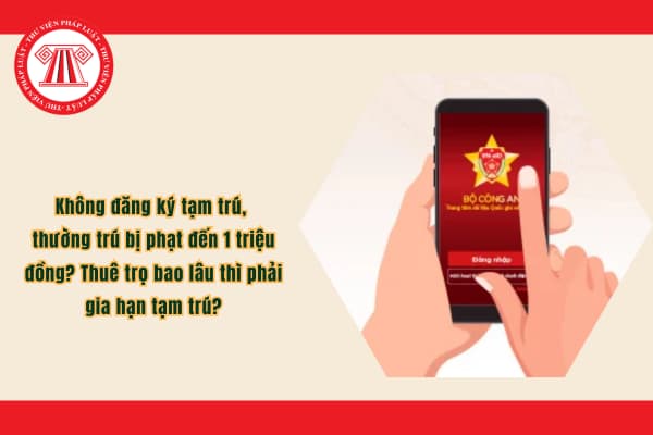 Pháp luật