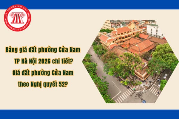 Pháp luật