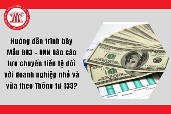 Hướng dẫn trình bày Mẫu B03 - DNN Báo cáo lưu chuyển tiền tệ đối với doanh nghiệp nhỏ và vừa theo Thông tư 133?