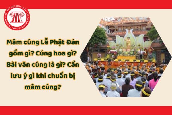 Pháp luật