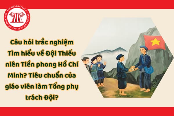 Pháp luật