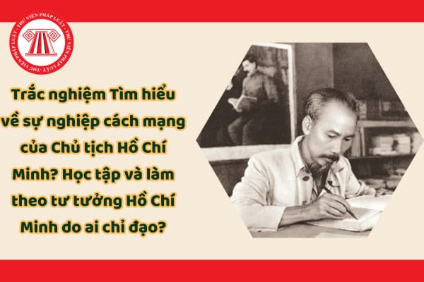 Pháp luật