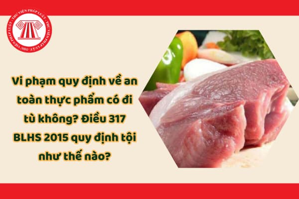 Pháp luật