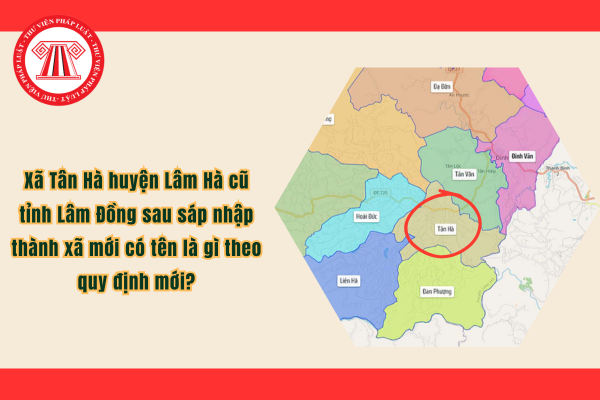 Pháp luật