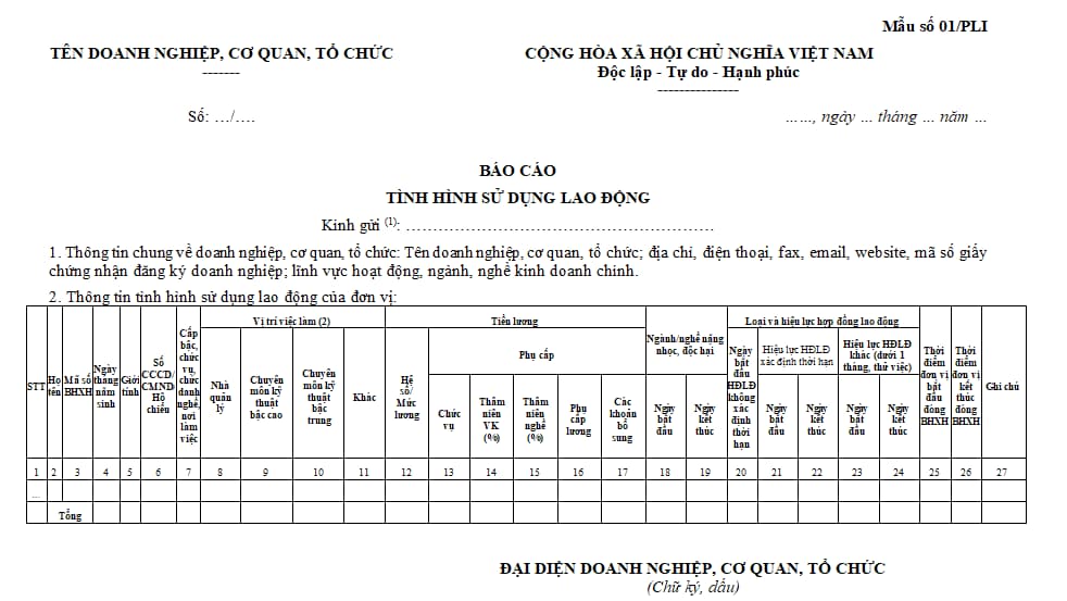 biểu mẫu 1