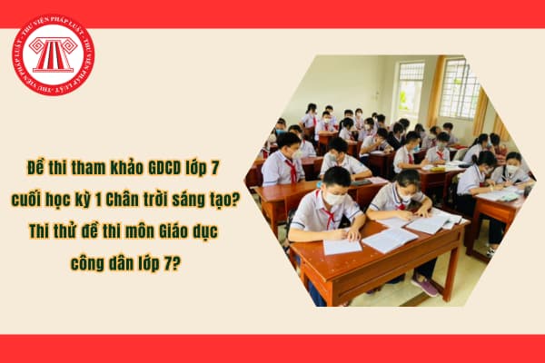 Pháp luật