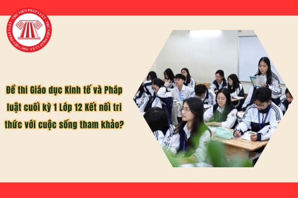 Pháp luật
