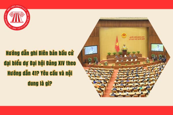 Pháp luật