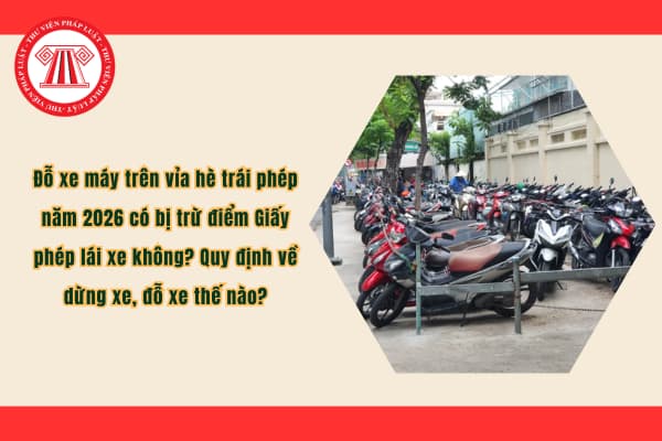 Pháp luật