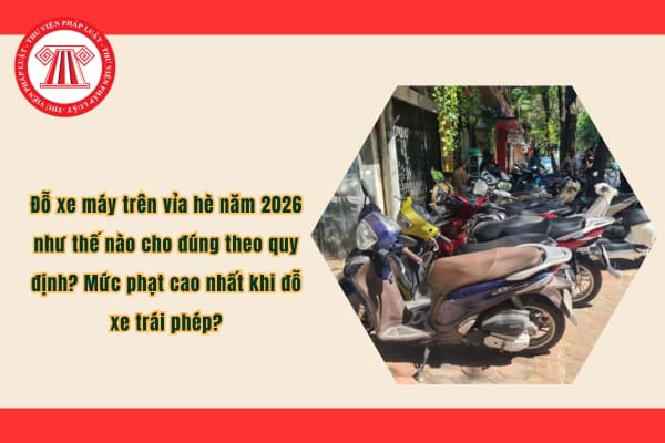 Pháp luật
