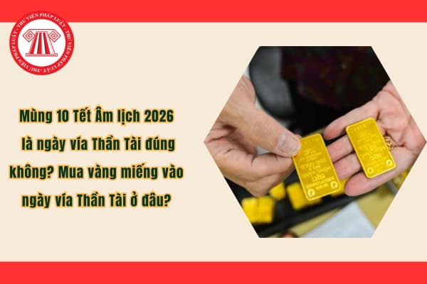 Pháp luật