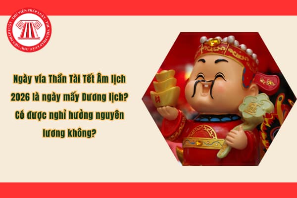 Pháp luật