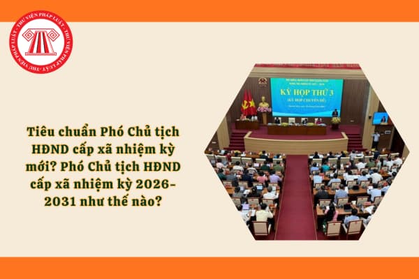 Pháp luật