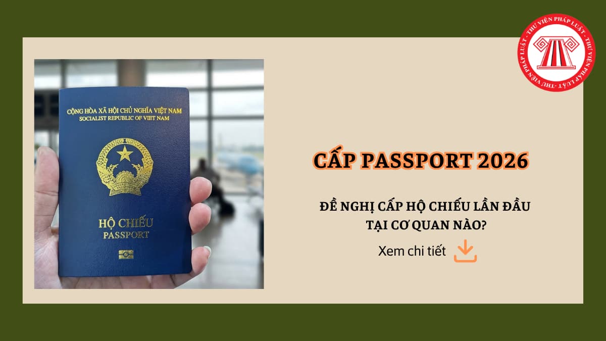 Pháp luật