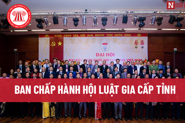 Ban Chấp hành Hội Luật gia cấp tỉnh