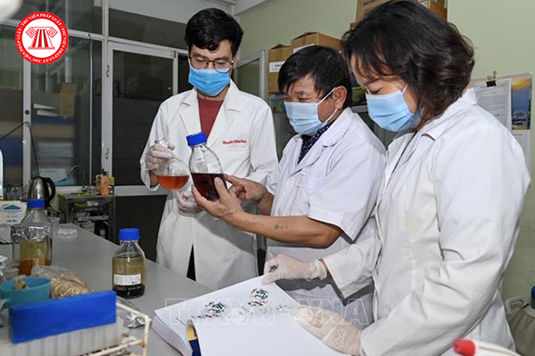 Viện Hàn lâm Khoa học và Công nghệ Việt Nam có bao nhiêu Phó Chủ tịch?