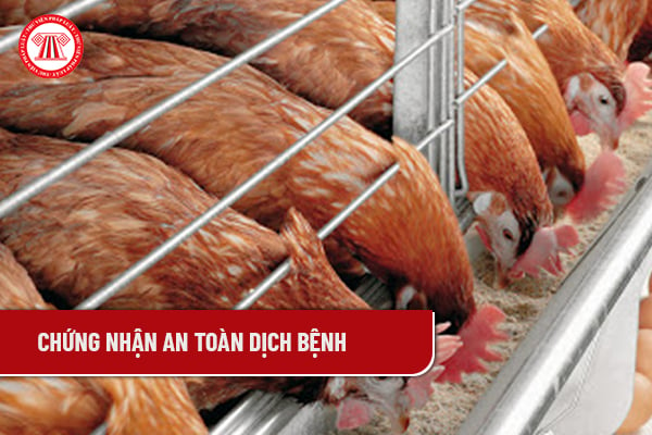 Chứng nhận an toàn dịch bệnh