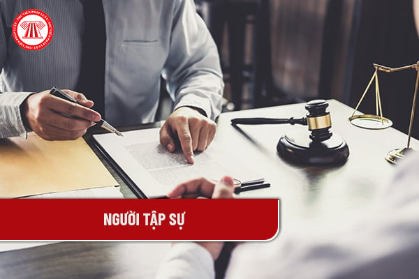 Người tập sự