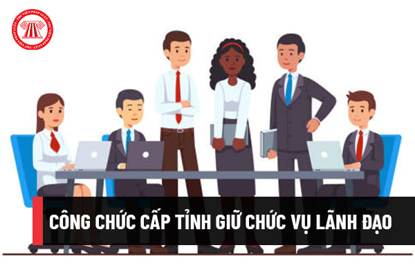 Công chức cấp tỉnh giữ chức vụ lãnh đạo cần phải đáp ứng những tiêu chí nào để được xếp loại chất lượng ở mức hoàn thành tốt nhiệm vụ?