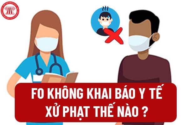 Bao y được đào tạo và trang bị kỹ năng gì để phục vụ hoàng đế?
