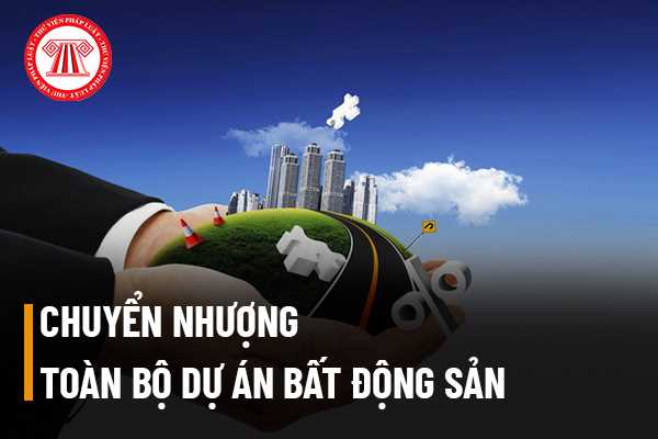 Chuyển nhượng toàn bộ dự án bất động sản