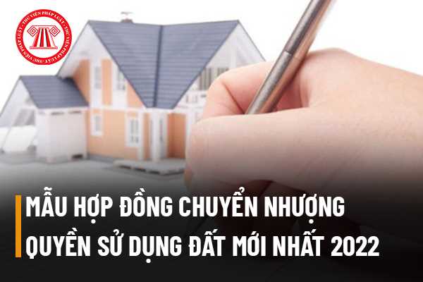 Mẫu hợp đồng chuyển nhượng quyền sử dụng đất