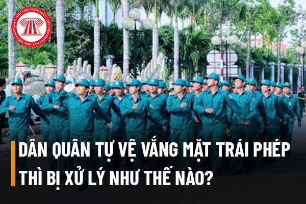 Dân quân tự vệ﻿