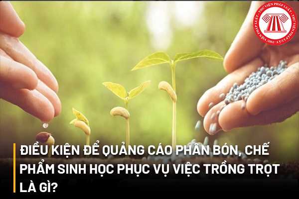 Điều kiện để quảng cáo phân bón, chế phẩm sinh học phục vụ việc trồng trọt là gì?